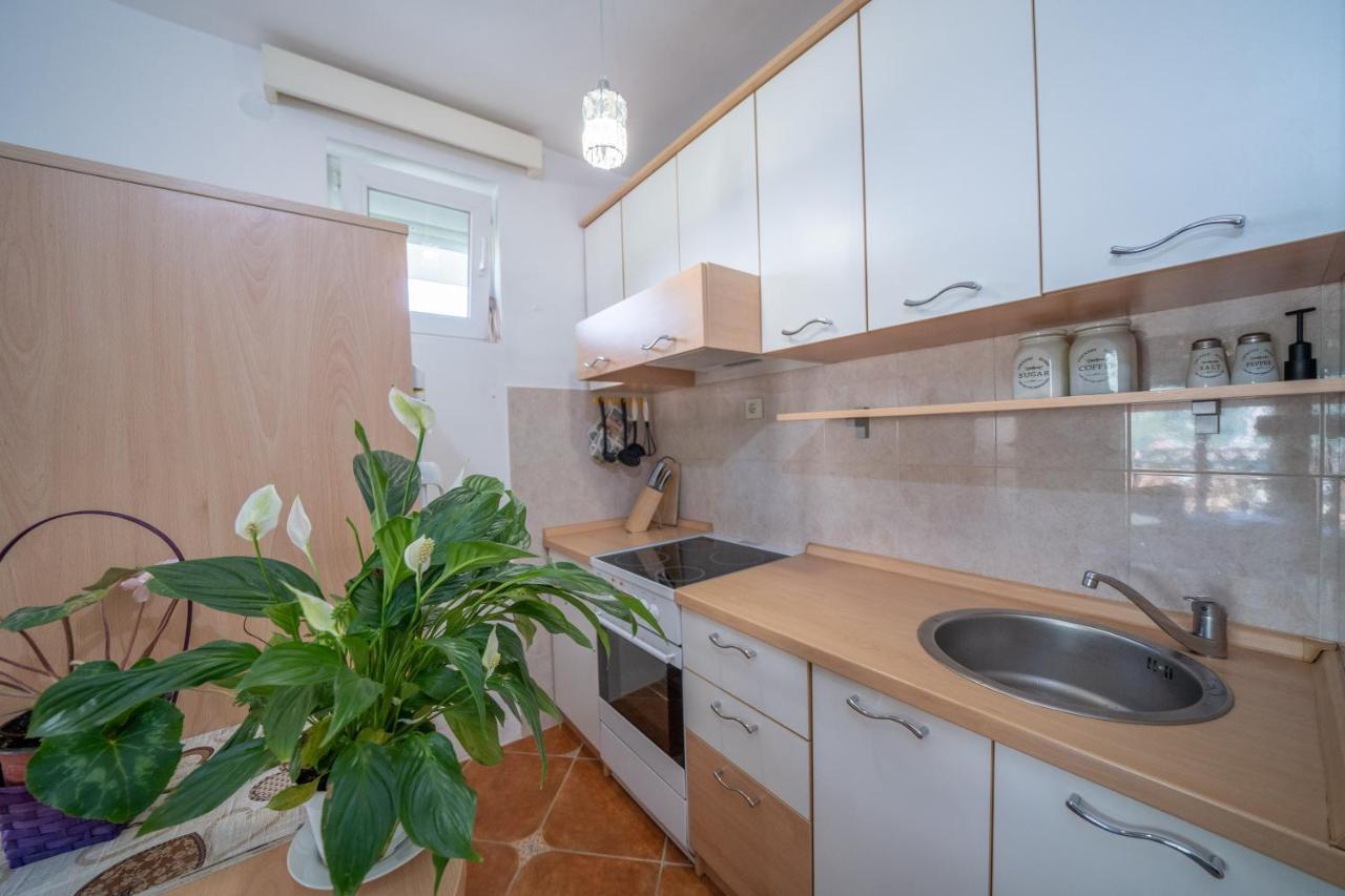 Sunshine Apartment Kotor Bagian luar foto